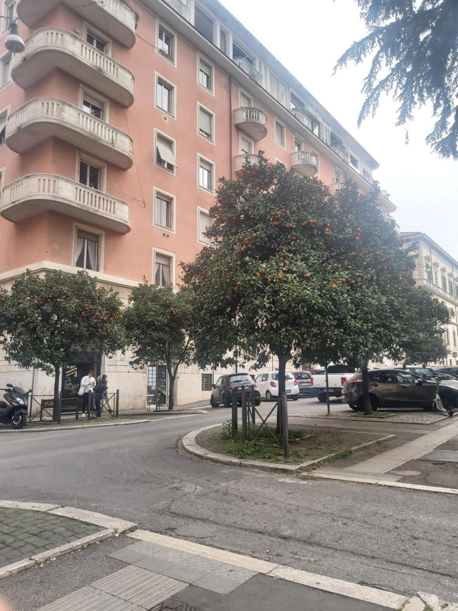 Holiday Colosseum Rome Acomodação com café da manhã Exterior foto